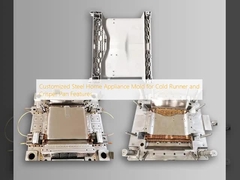 Molde de eletrodomésticos de aço personalizado para características de frigorífico e crisper