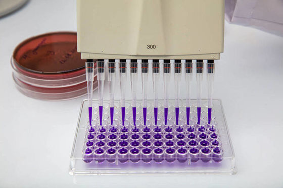 Bom preço. Manipulação de líquidos Moldura de dispositivos médicos Micro-pipetas de várias cavidades Molduras de plástico moldagem por injecção peças automotivas on-line